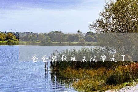 爸爸欠钱被法院带走了 爸爸欠钱被法院带走了