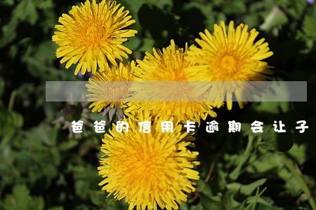 爸爸的信用卡逾期会让子女还吗