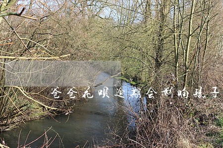爸爸花呗逾期会影响孩子吗 爸爸花呗逾期会影响孩子吗