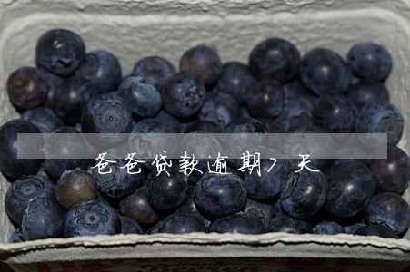 爸爸贷款逾期7天 爸爸贷款逾期7天