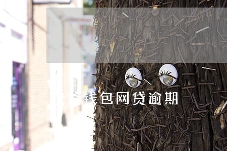 爸爸钱包网贷逾期 爸爸钱包网贷逾期