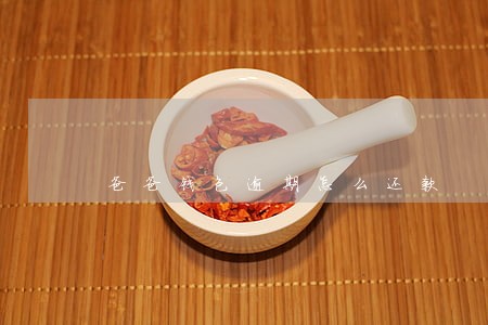 爸爸钱包逾期怎么还款 爸爸钱包逾期怎么还款