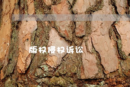 版权侵权诉讼 版权侵权诉讼