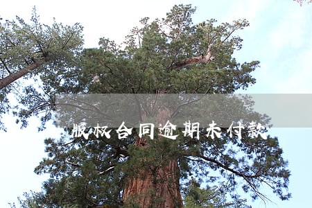 版权合同逾期未付款 版权合同逾期未付款