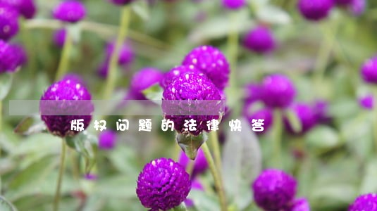 版权问题的法律快答 版权问题的法律快答