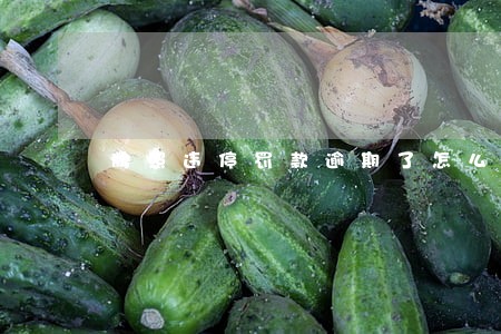牌照违停罚款逾期了怎么办 牌照违停罚款逾期了怎么办