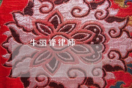 牛丽锋律师 牛丽锋律师