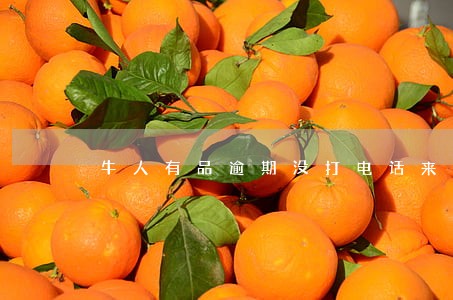 牛人有品逾期没打电话来催 牛人有品逾期没打电话来催