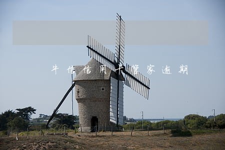 牛信信用卡管家逾期 牛信信用卡管家逾期