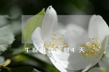 牛呗借款逾期4天 牛呗借款逾期4天