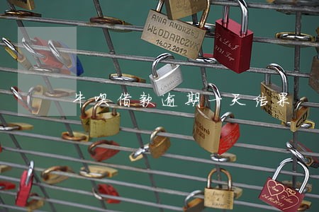 牛呗借款逾期一天结果