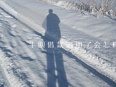 牛呗借款逾期了会怎样 牛呗借款逾期了会怎样