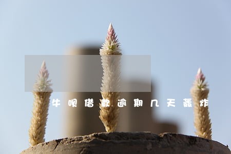 牛呗借款逾期几天轰炸 牛呗借款逾期几天轰炸