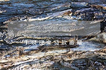 牛呗现金贷款逾期 牛呗现金贷款逾期