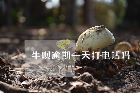 牛呗逾期一天打电话吗 牛呗逾期一天打电话吗