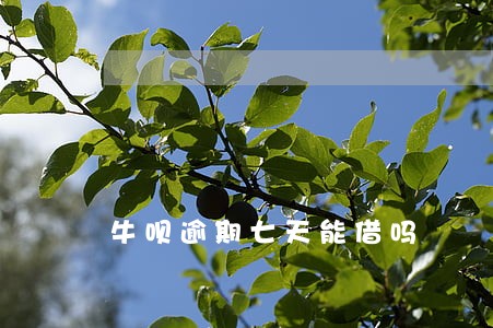 牛呗逾期七天能借吗 牛呗逾期七天能借吗