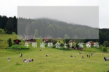 牛呗逾期会上门催收吗 牛呗逾期会上门催收吗