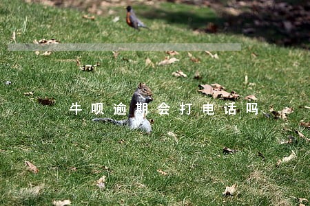 牛呗逾期会打电话吗 牛呗逾期会打电话吗
