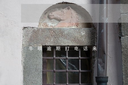 牛呗逾期打电话来