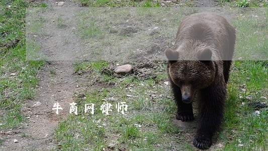 牛商网律师 牛商网律师
