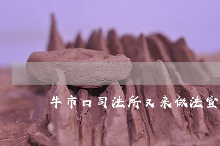 牛市口司法所又来做法宣活动啦 牛市口司法所又来做法宣活动啦