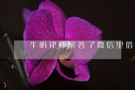 牛明律师解答了微信里借钱的 牛明律师解答了微信里借钱的