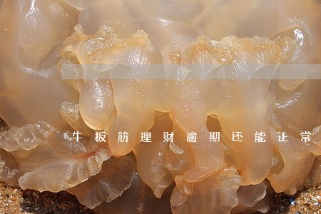 牛板筋理财逾期还能正常运转吗 牛板筋理财逾期还能正常运转吗