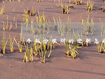 牛板金理财的逾期怎么办 牛板金理财的逾期怎么办
