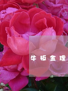牛板金理财逾期了6 牛板金理财逾期了6