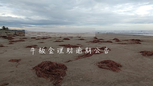 牛板金理财逾期公告 牛板金理财逾期公告