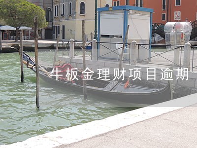 牛板金理财项目逾期 牛板金理财项目逾期