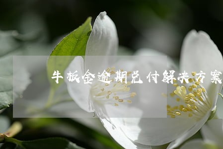 牛板金逾期兑付解决方案 牛板金逾期兑付解决方案
