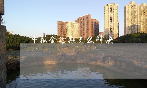 牛板金逾期怎么解决 牛板金逾期怎么解决