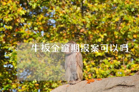 牛板金逾期报案可以吗 牛板金逾期报案可以吗