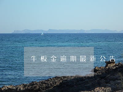 牛板金逾期最新公告 牛板金逾期最新公告