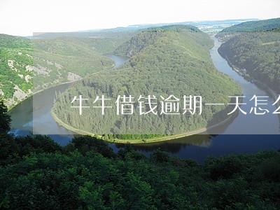 牛牛借钱逾期一天怎么办 牛牛借钱逾期一天怎么办