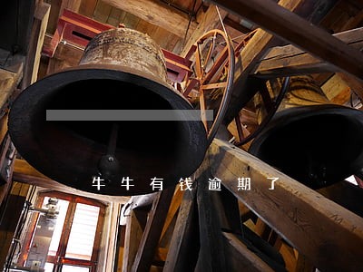 牛牛有钱逾期了 牛牛有钱逾期了