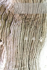 牛牛金融逾期一天怎么办 牛牛金融逾期一天怎么办