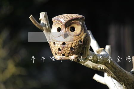 牛牛陛下可以只还本金吗 牛牛陛下可以只还本金吗