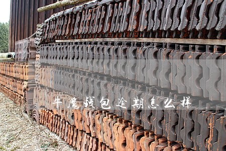 牛魔钱包逾期怎么样 牛魔钱包逾期怎么样