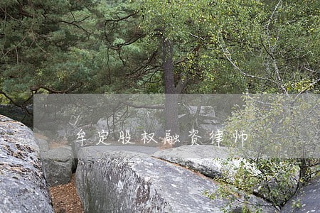 牟定股权融资律师 牟定股权融资律师
