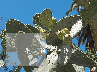 牟山镇律师快报 牟山镇律师快报