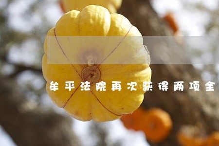 牟平法院再次获得两项全国荣誉 牟平法院再次获得两项全国荣誉