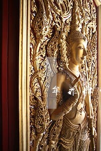 牟菲律师 牟菲律师