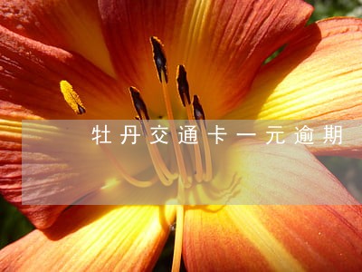 牡丹交通卡一元逾期 牡丹交通卡一元逾期