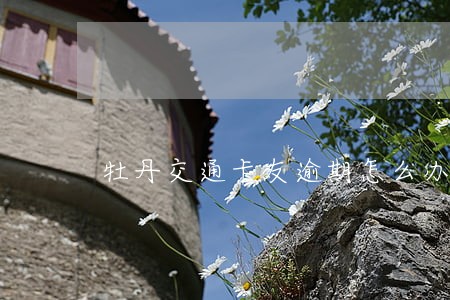 牡丹交通卡友逾期怎么办 牡丹交通卡友逾期怎么办