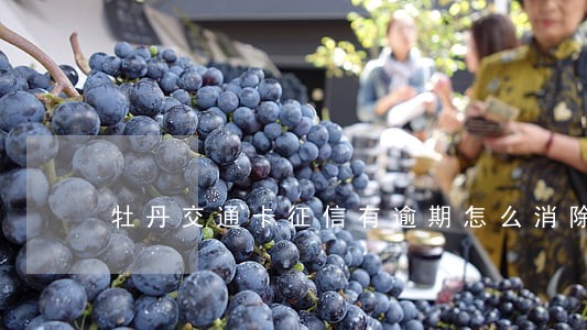 牡丹交通卡征信有逾期怎么消除 牡丹交通卡征信有逾期怎么消除