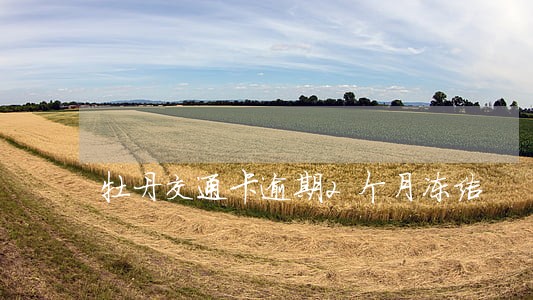 牡丹交通卡逾期2个月冻结 牡丹交通卡逾期2个月冻结
