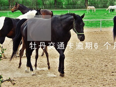 牡丹交通卡逾期6个月怎么办 牡丹交通卡逾期6个月怎么办