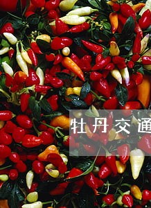 牡丹交通卡逾期投诉 牡丹交通卡逾期投诉
